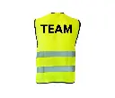 Yellow_TEAM.webp